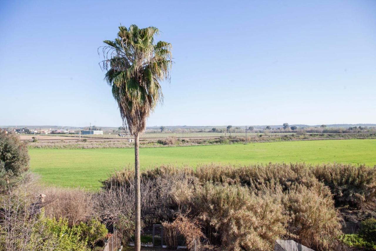 Casa Rural La Palmera Almodóvar del Río Buitenkant foto