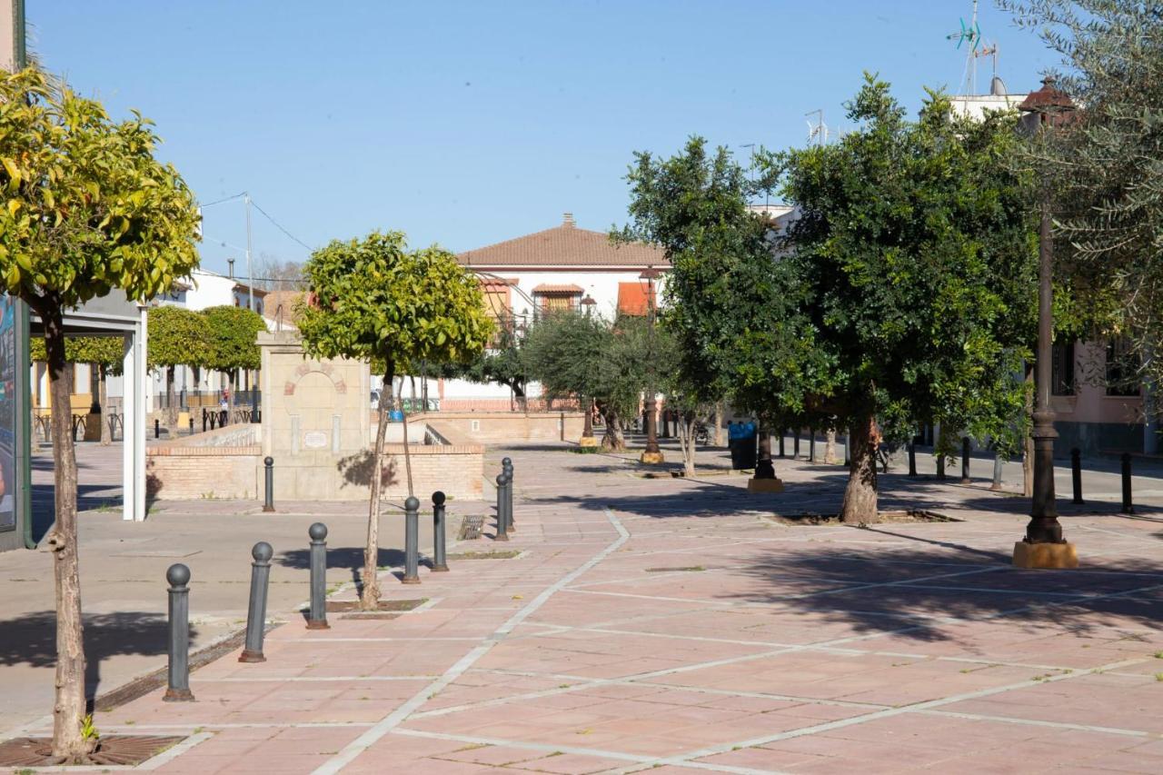 Casa Rural La Palmera Almodóvar del Río Buitenkant foto
